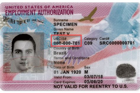 work authorization while waiting for green card|Employment Authorization Document .